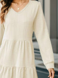 V-Neck Long Sleeve Mini Dress