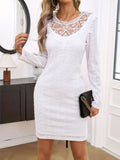 Lace Detail Round Neck Long Sleeve Mini Dress