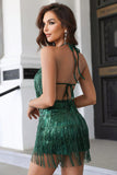 Halter Neck Backless Fringe Dress