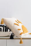 Sun Graphic Tassel Pillow Cover