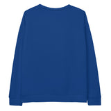 Plain Blue Sweatshirt